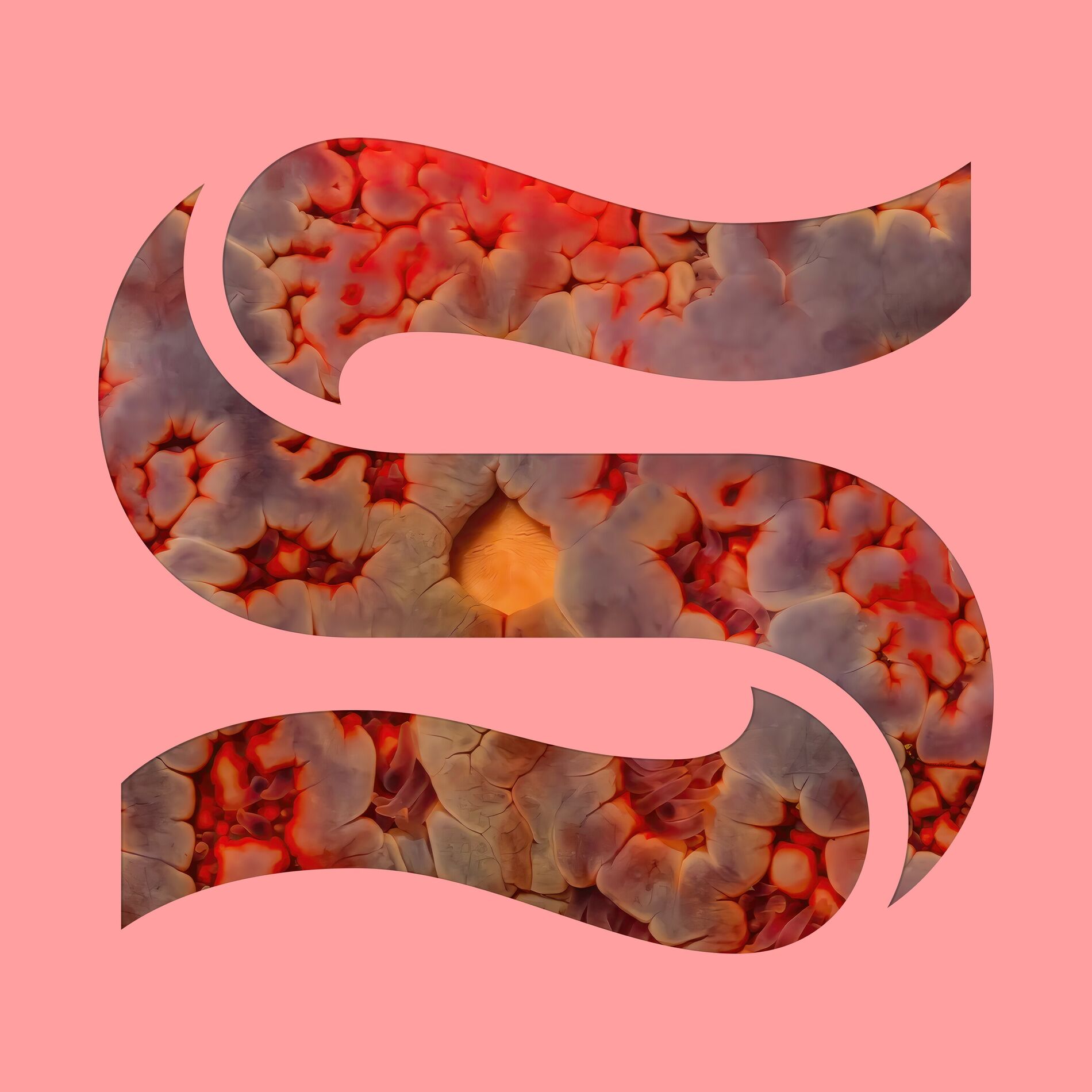Album cover of Rapid Fire