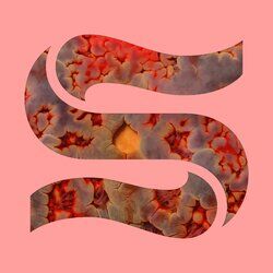 Cover of Neptunes EP