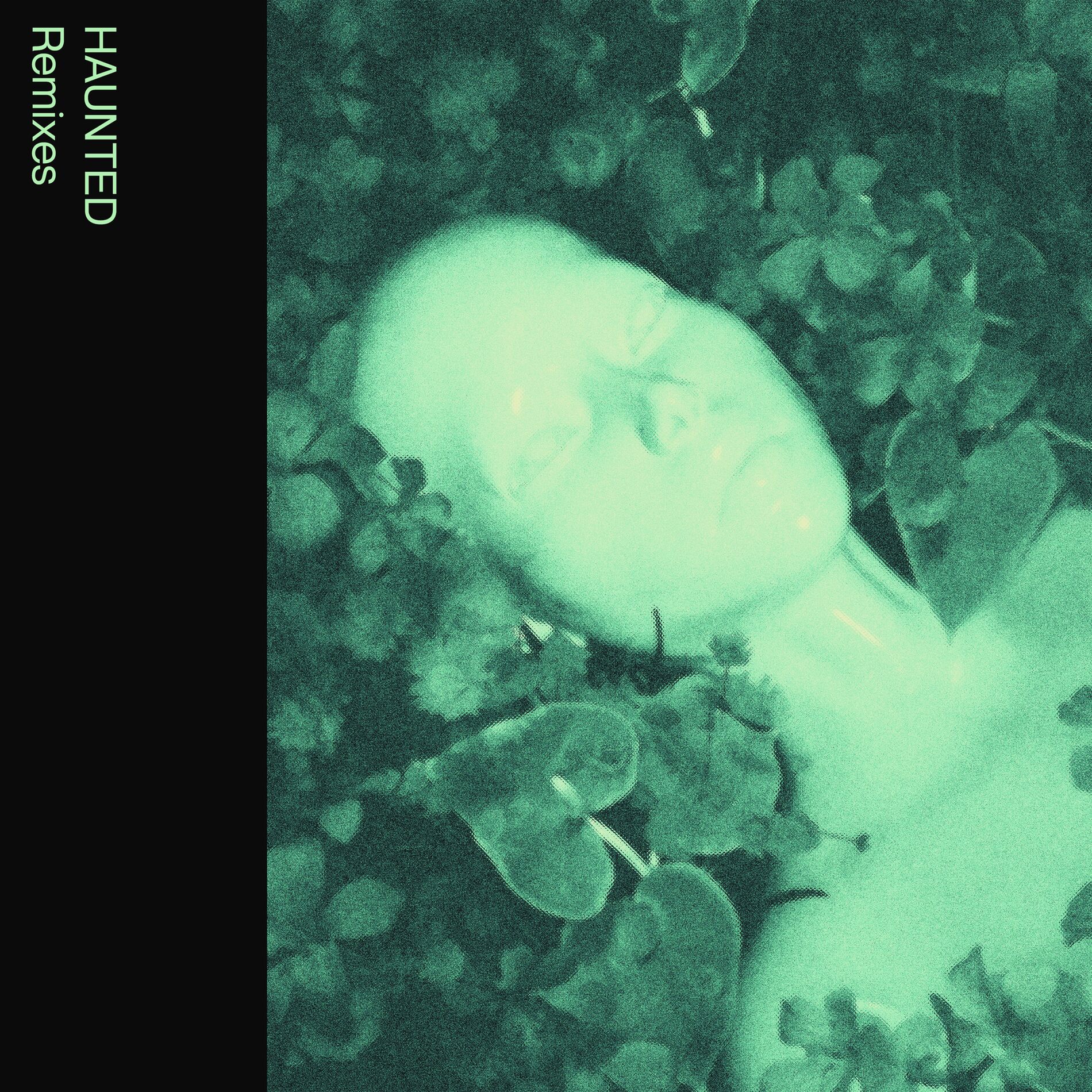 Album cover of HAUNTED (Remixes)