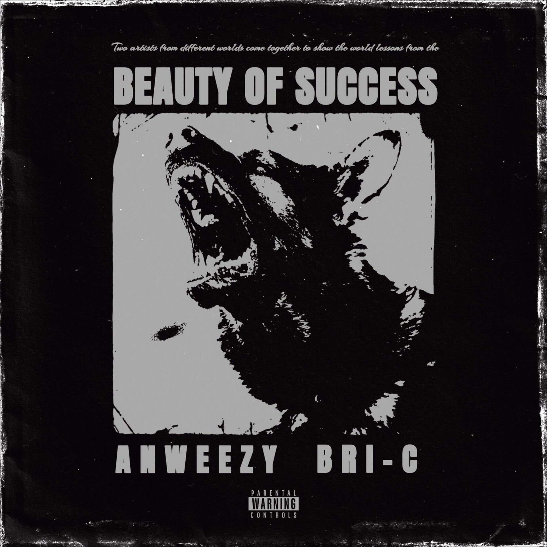 Album cover of Beauty of Success (Accelerate Mix)