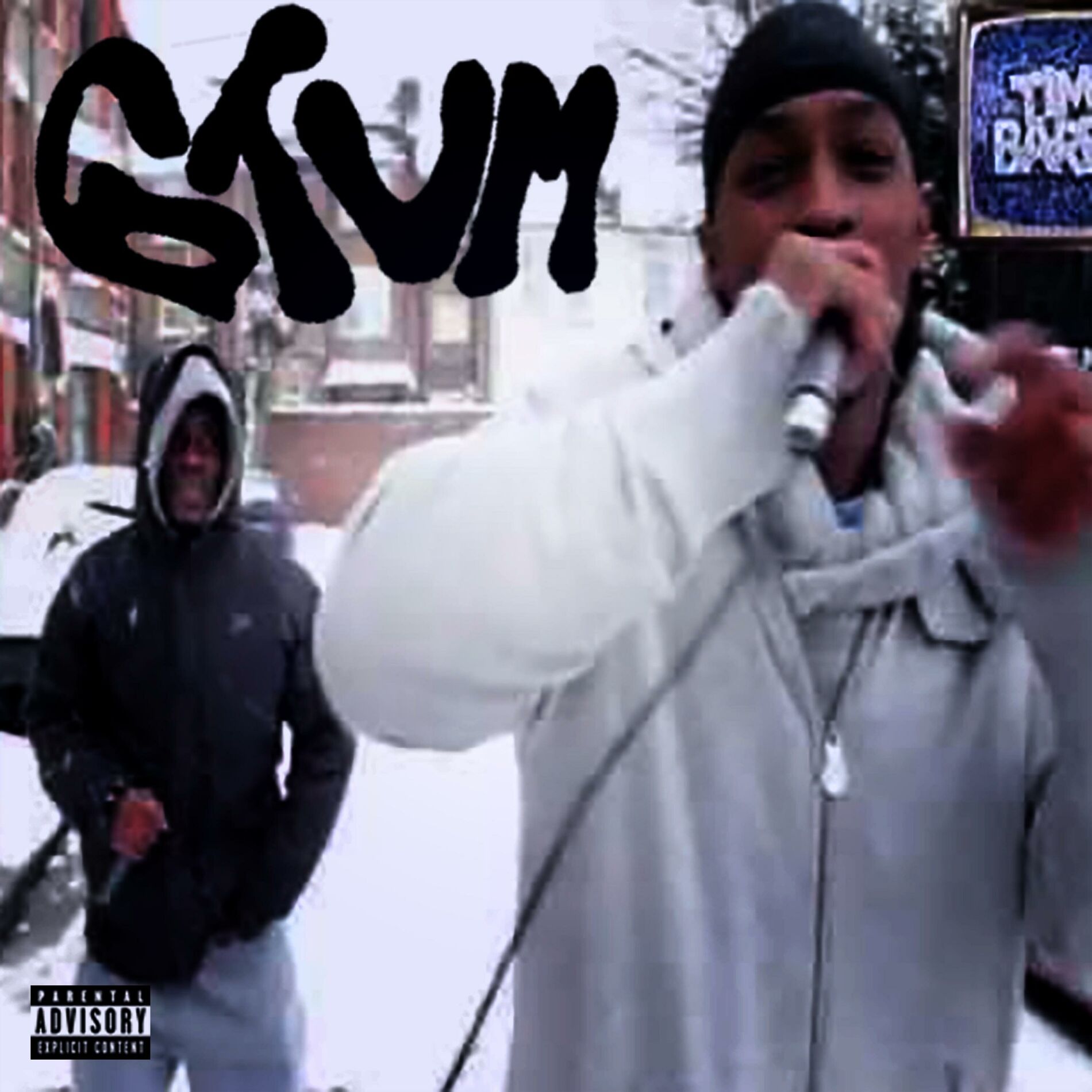Album cover of SnowedUnder