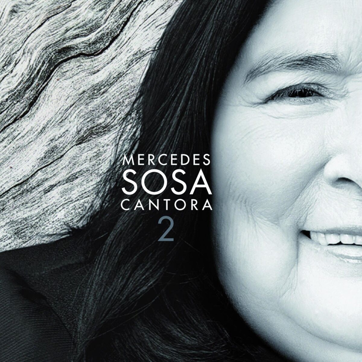 Album cover of O Que Será (with Daniela Mercury)