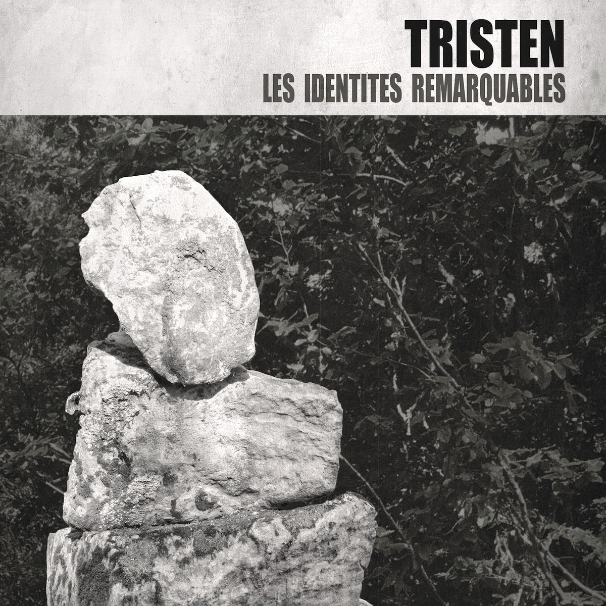 Album cover of Les identités remarquables