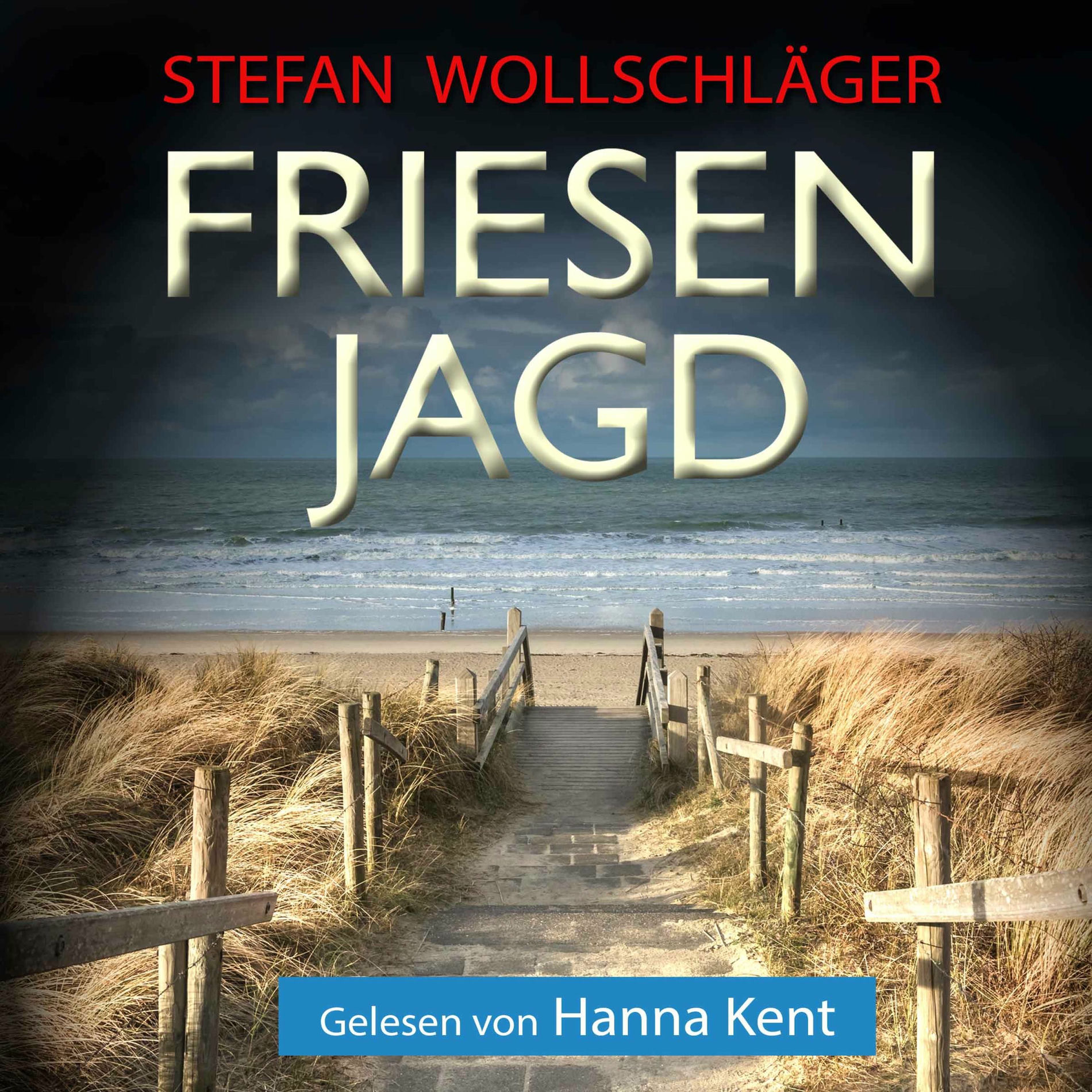 Album cover of Friesenjagd: Ostfriesen-Krimi