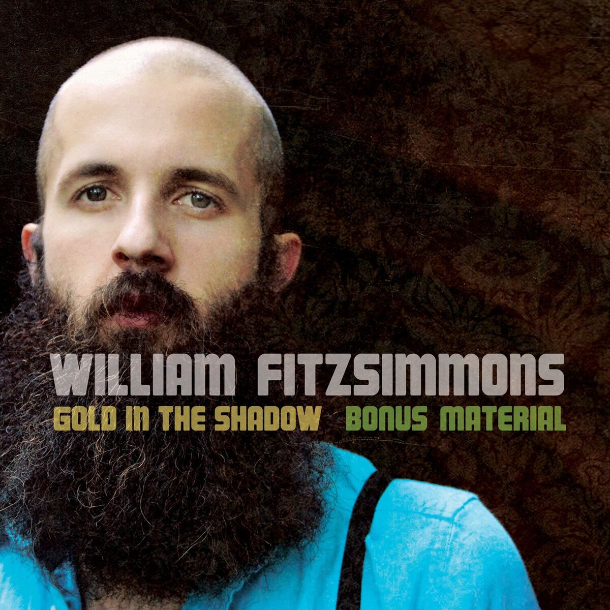 Album cover of Gold In The Shadow (Bonus Track Version)