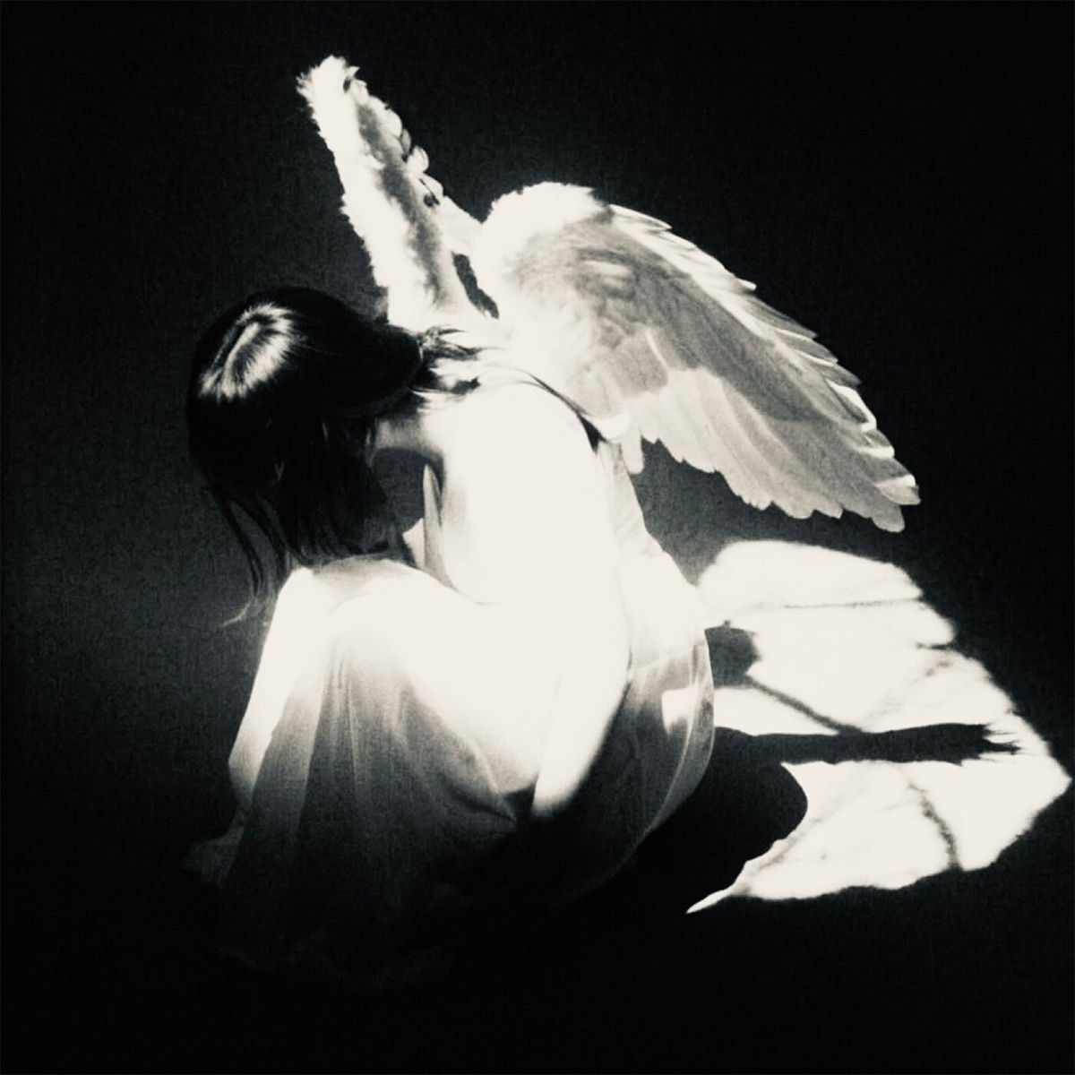 Album cover of too much