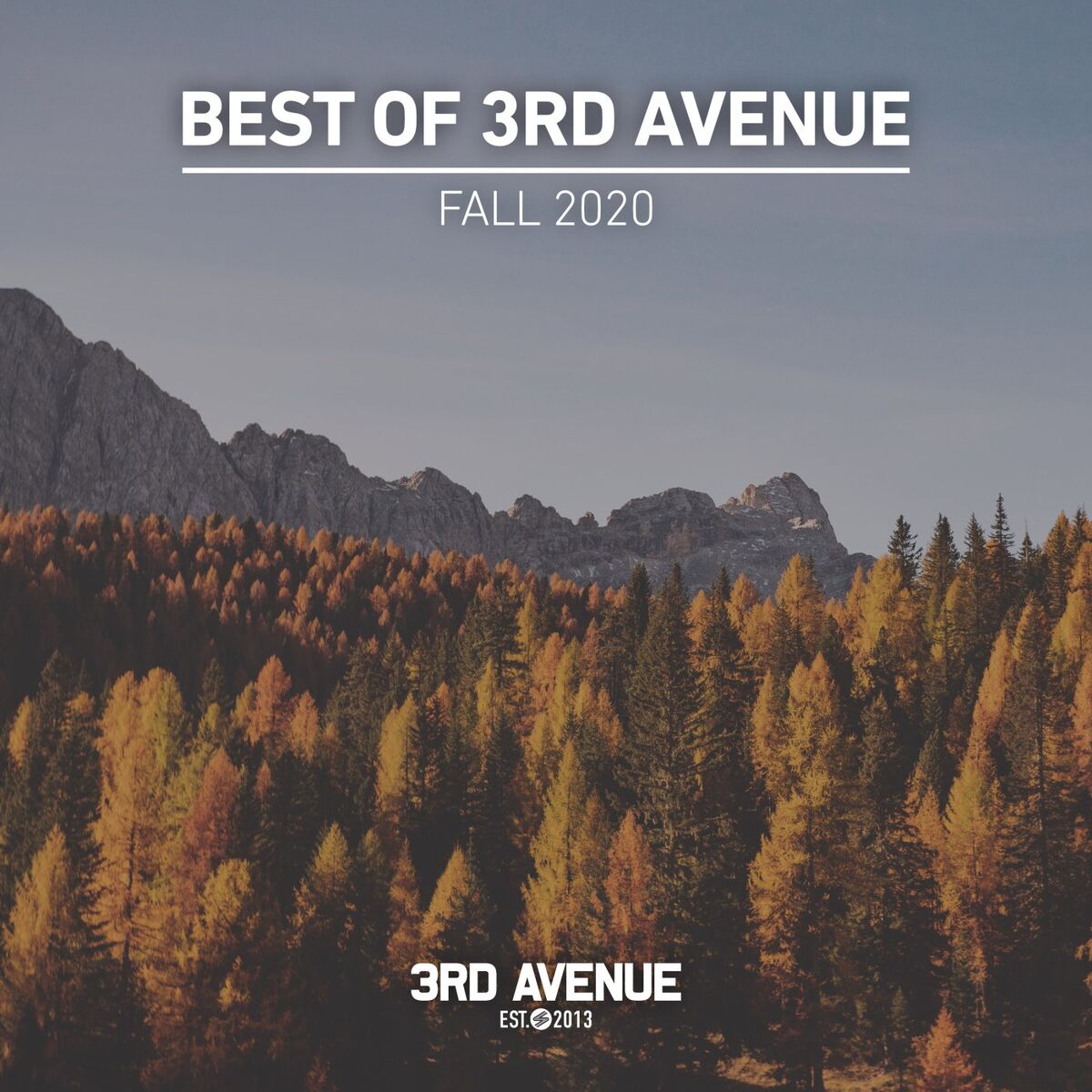 Album cover of Best of 3rd Avenue | Fall 2020