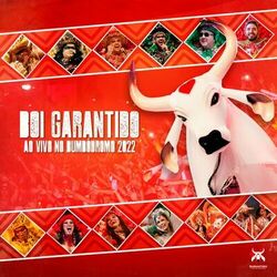 Cover of Boi Garantido ao Vivo no Bumbódromo 2022