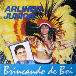 Cover of Brincando de Boi