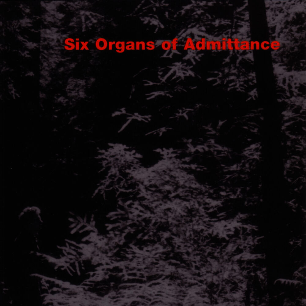 Picture of Six Organs Of Admittance