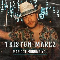Cover of Map Dot Missing You
