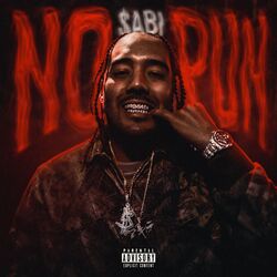 Cover of NO PUN