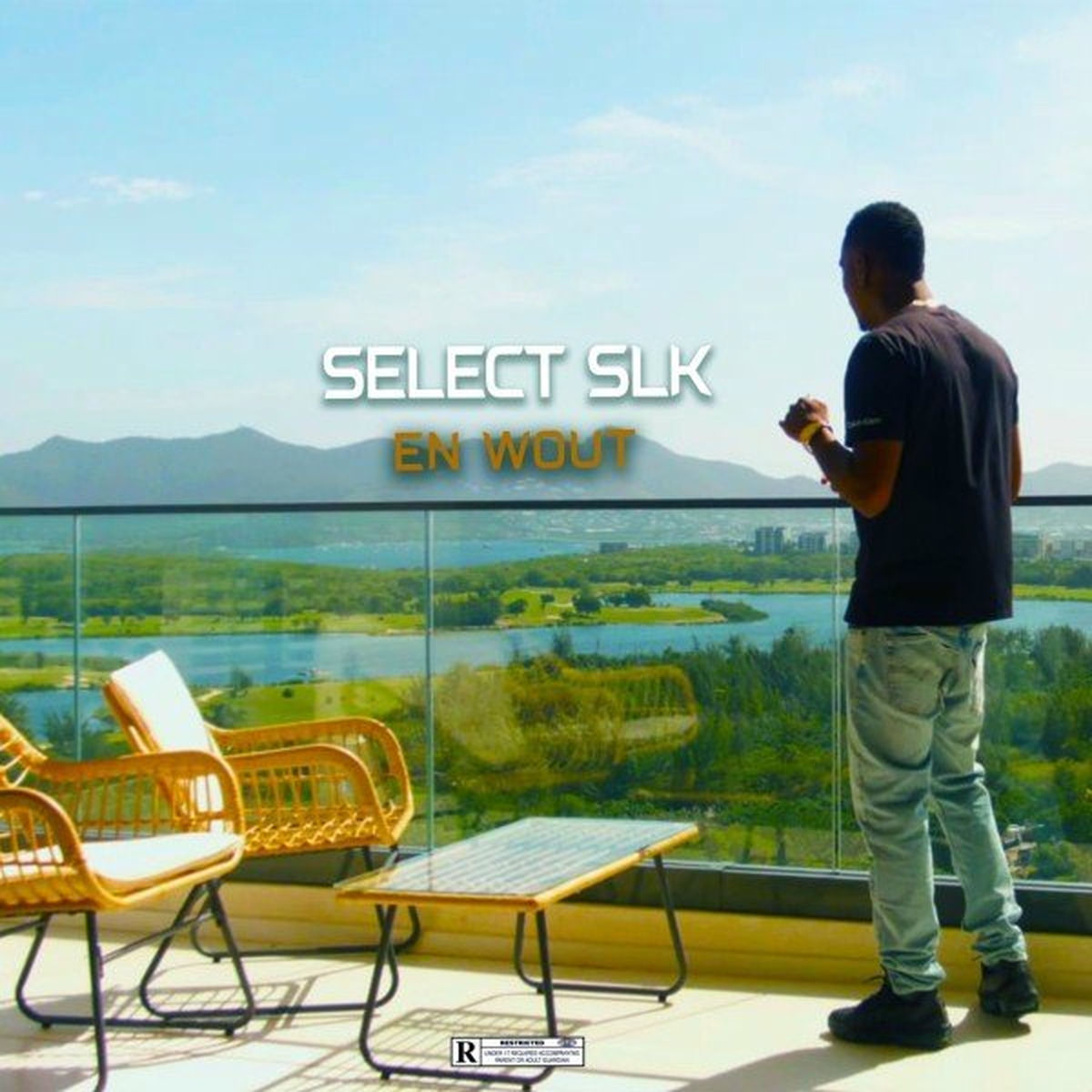 Album cover of En Wout
