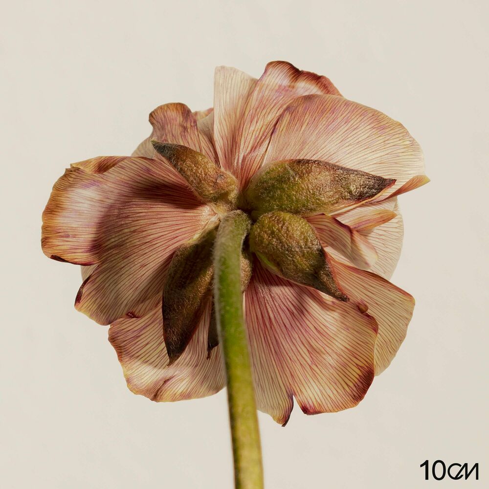 Picture of 4.3