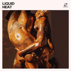 Cover of Liquid Heat by undefined