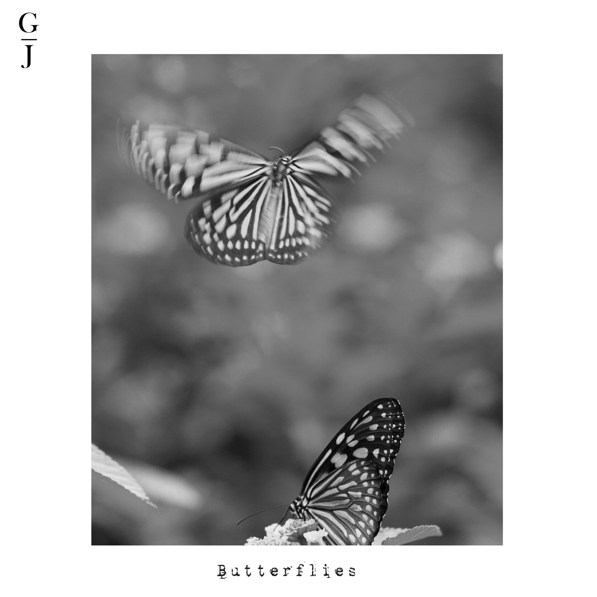 Album cover of Butterflies