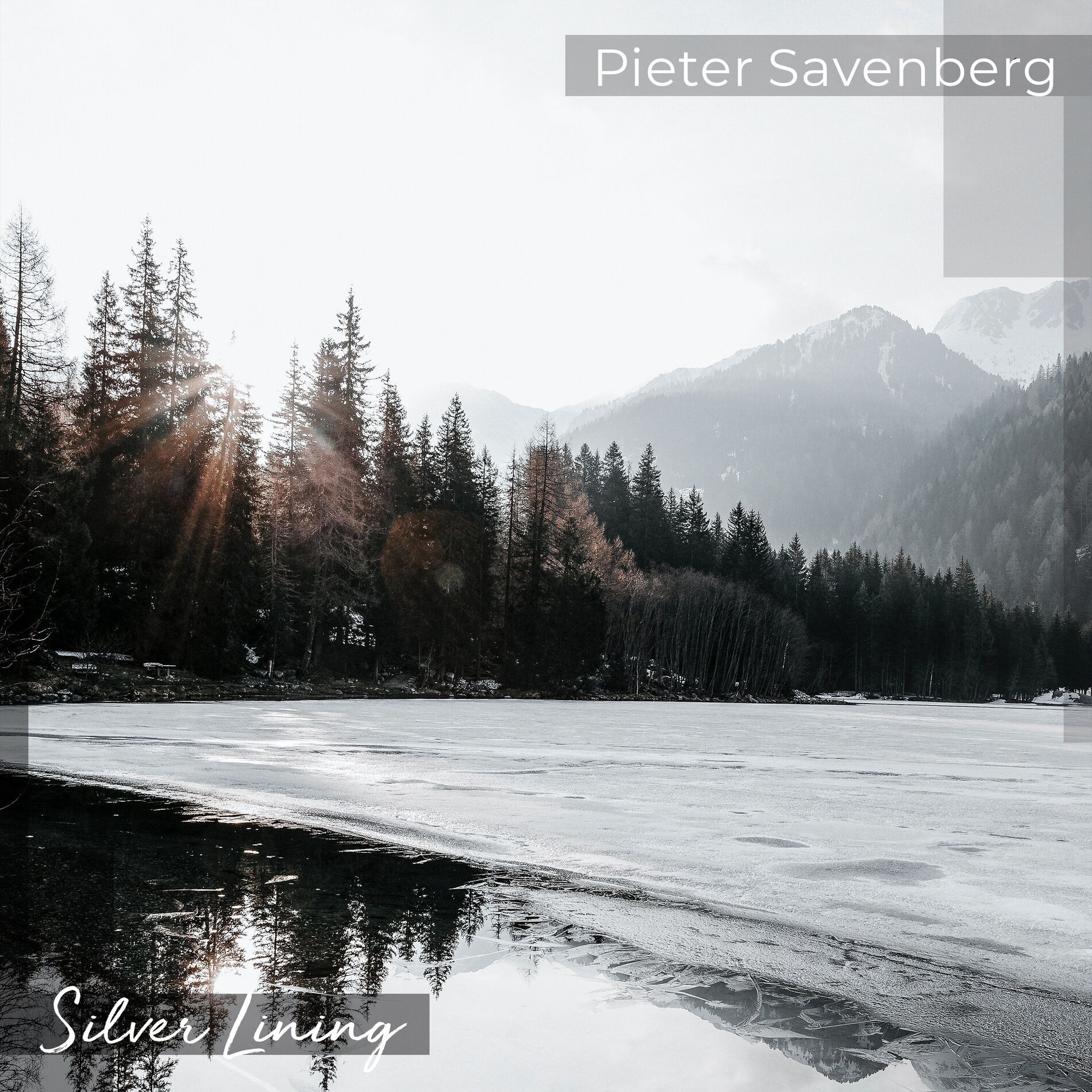 Album cover of Silver Lining