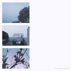 Cover of If We Could Just Pretend