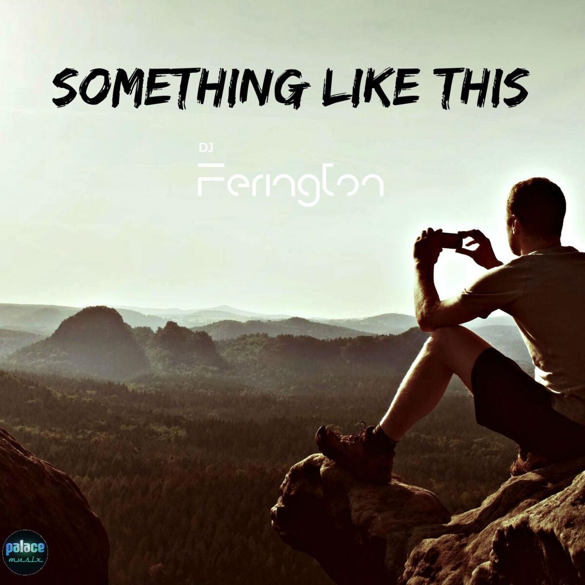 Album cover of Something Like This