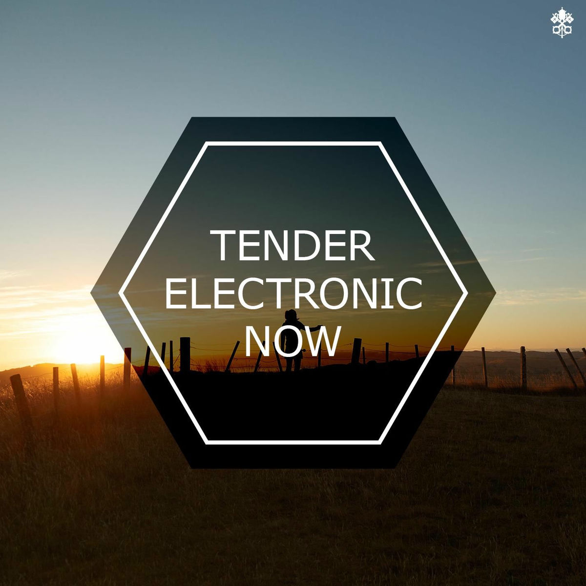 Album cover of Tender Electronic Now