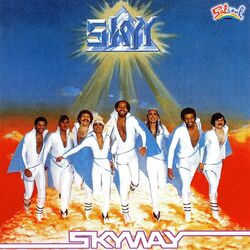 Cover of Skyway