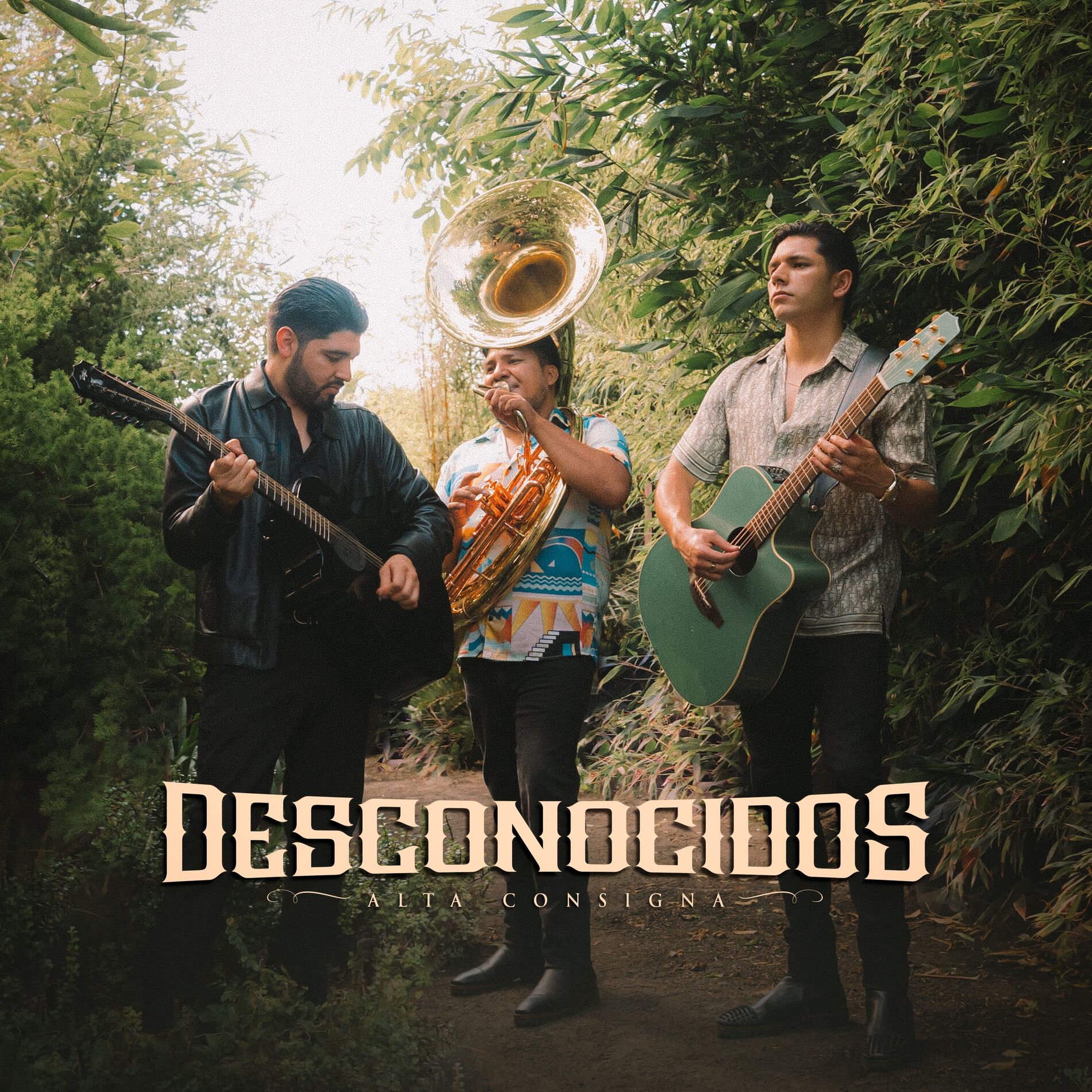 Album cover of Desconocidos