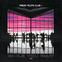 Cover of While You Wait