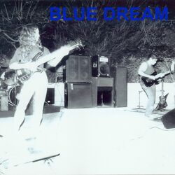 Cover of Blue Dream Days