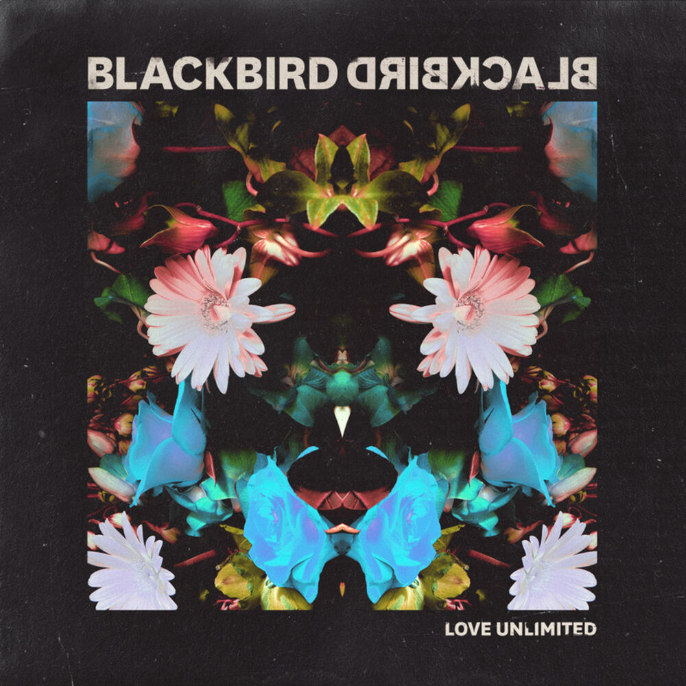 Picture of Love Unlimited