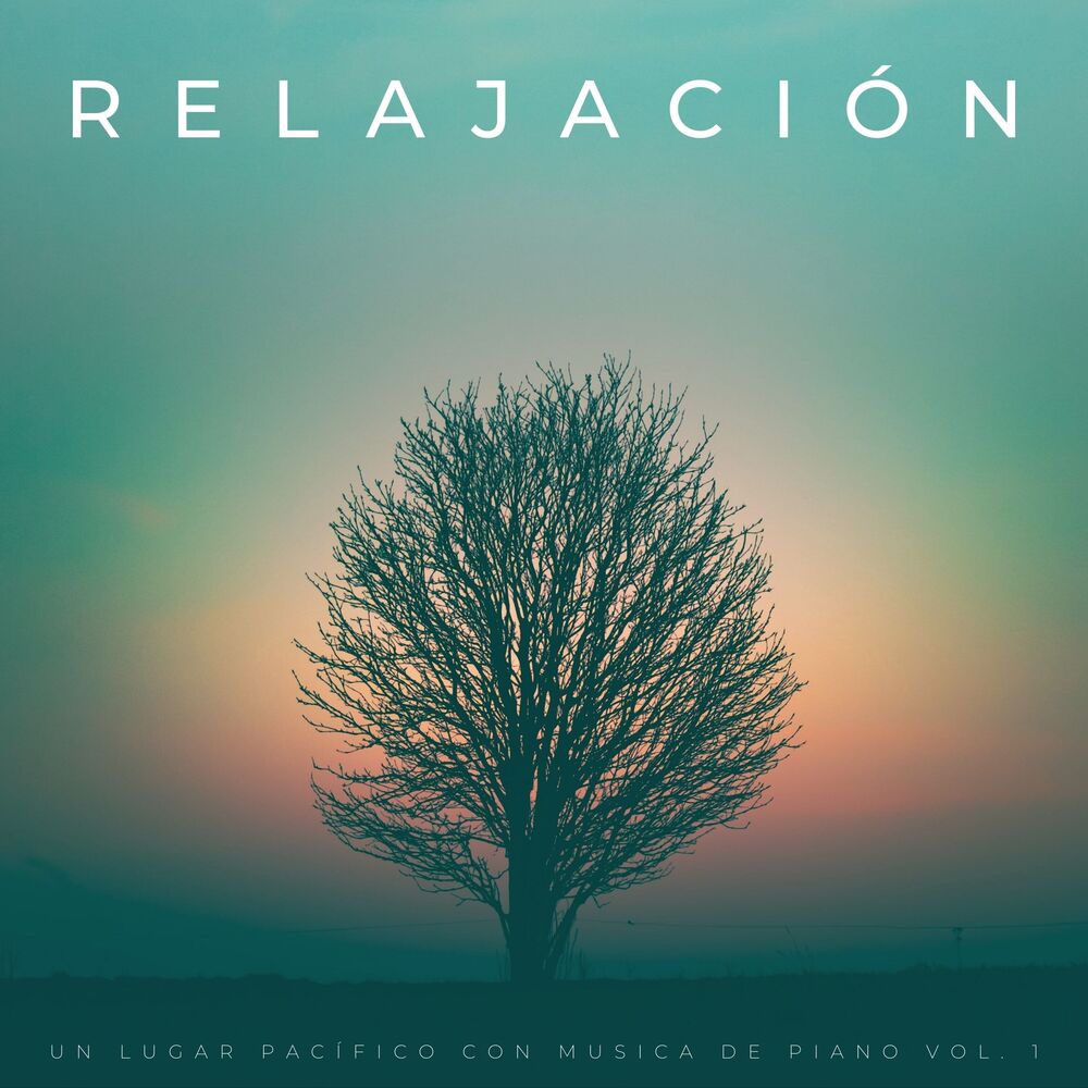 Picture of Relajación: Un Lugar Pacífico Con Musica De Piano Vol. 1