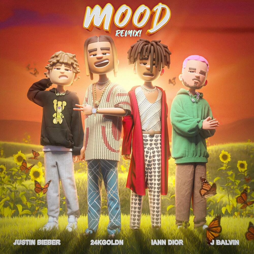 Picture of Mood (Remix)