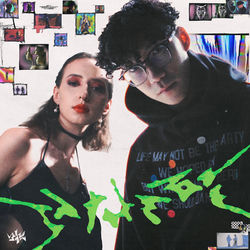 Cover of IN THE ZONE by undefined
