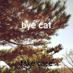 Cover of bye cat