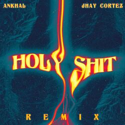 Cover of Holy Shit (Remix)