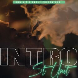 Cover of Intro