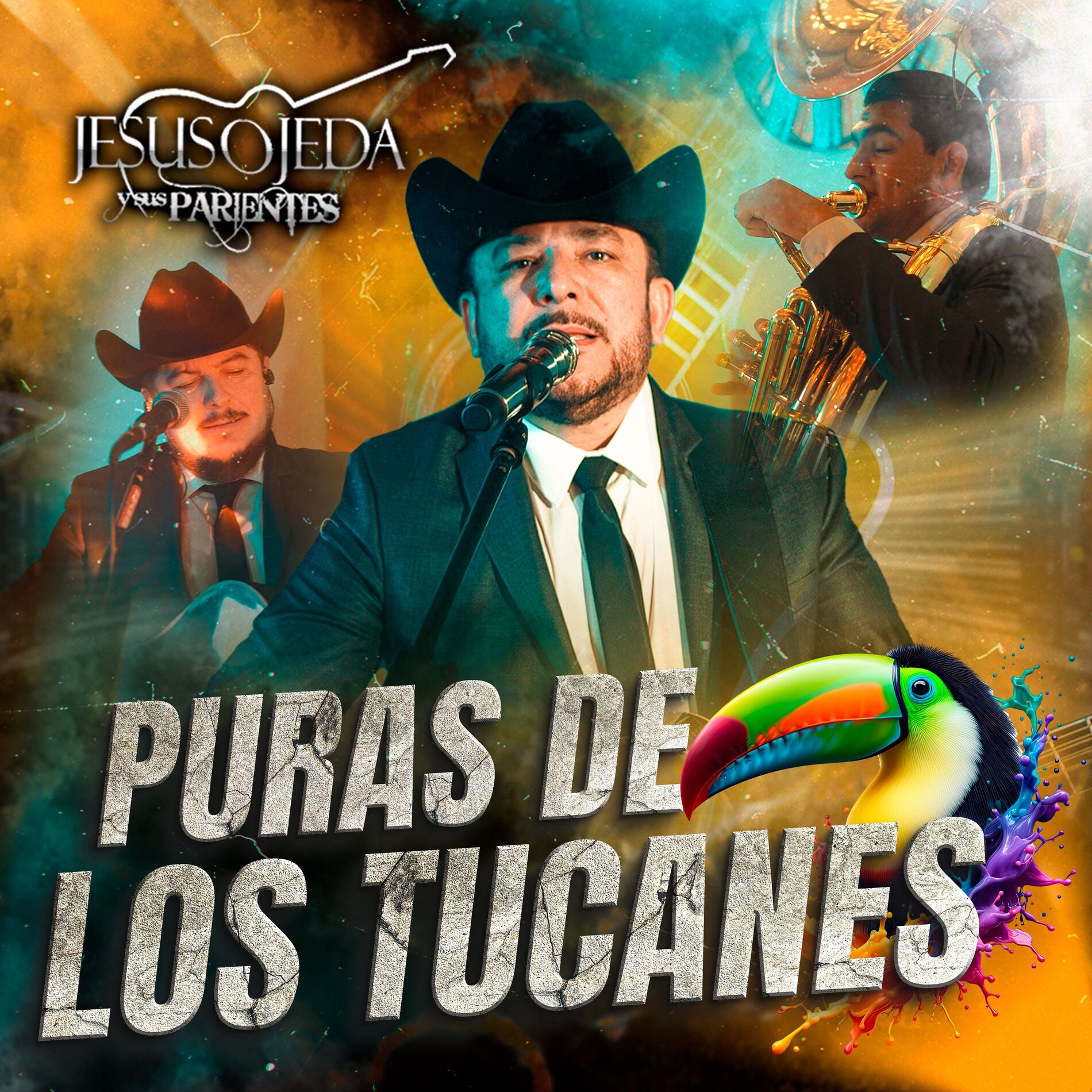 Album cover of Puras De Los Tucanes