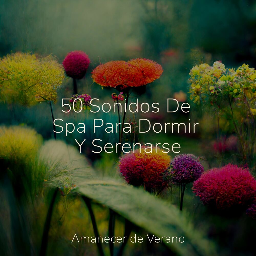 Picture of 50 Sonidos De Spa Para Dormir Y Serenarse