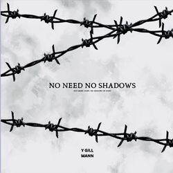 Cover of NO NEED NO SHADOWS