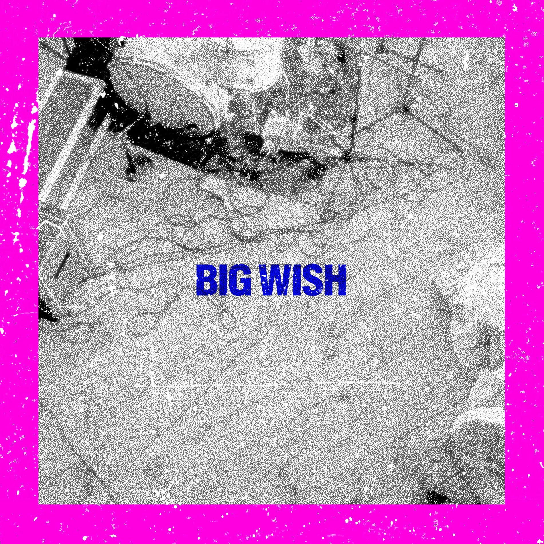 Album cover of Big Wish