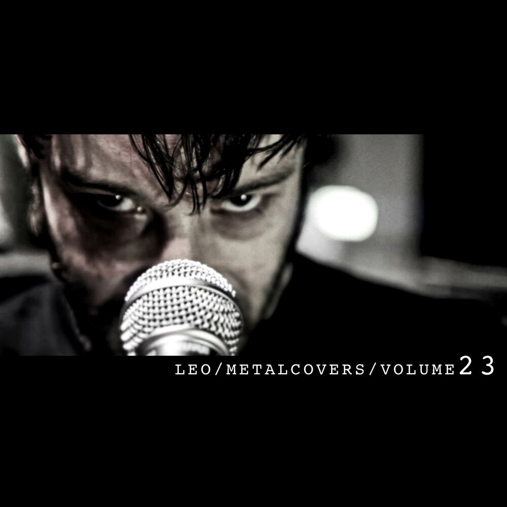 Picture of Leo Metal, Vol. 23
