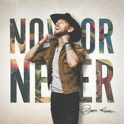 Cover of Now or Never
