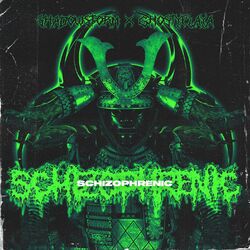 music cover