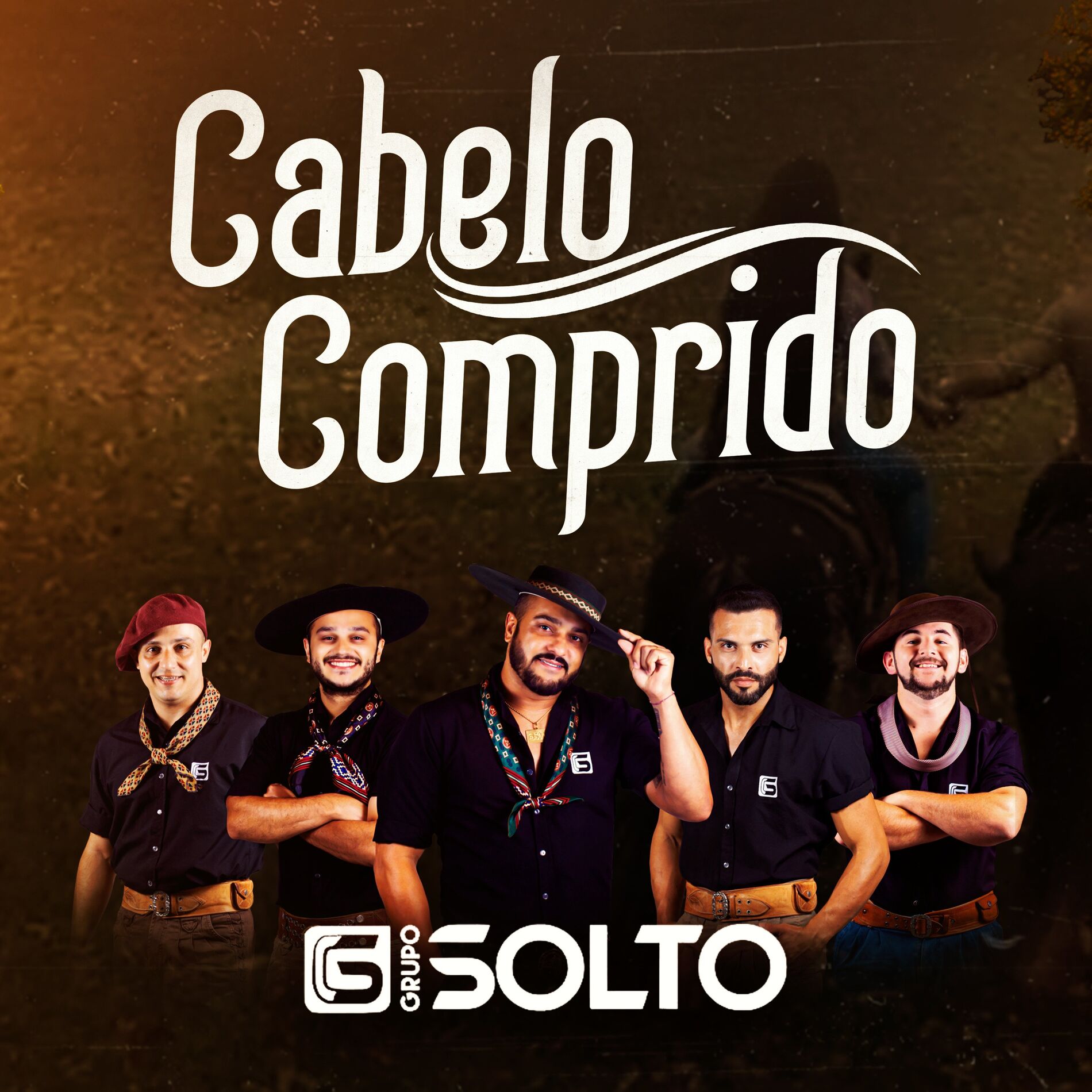 Album cover of Cabelo Comprido
