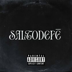 Cover of SALTODEFĒ