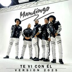Cover of Te Vi Con Él (Versión 2025)