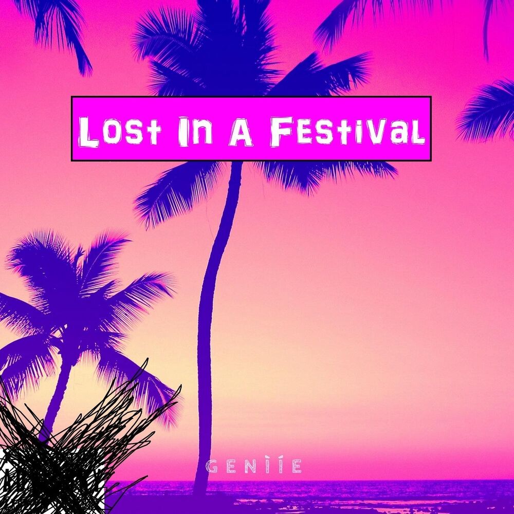 Picture of Lost in a Festival