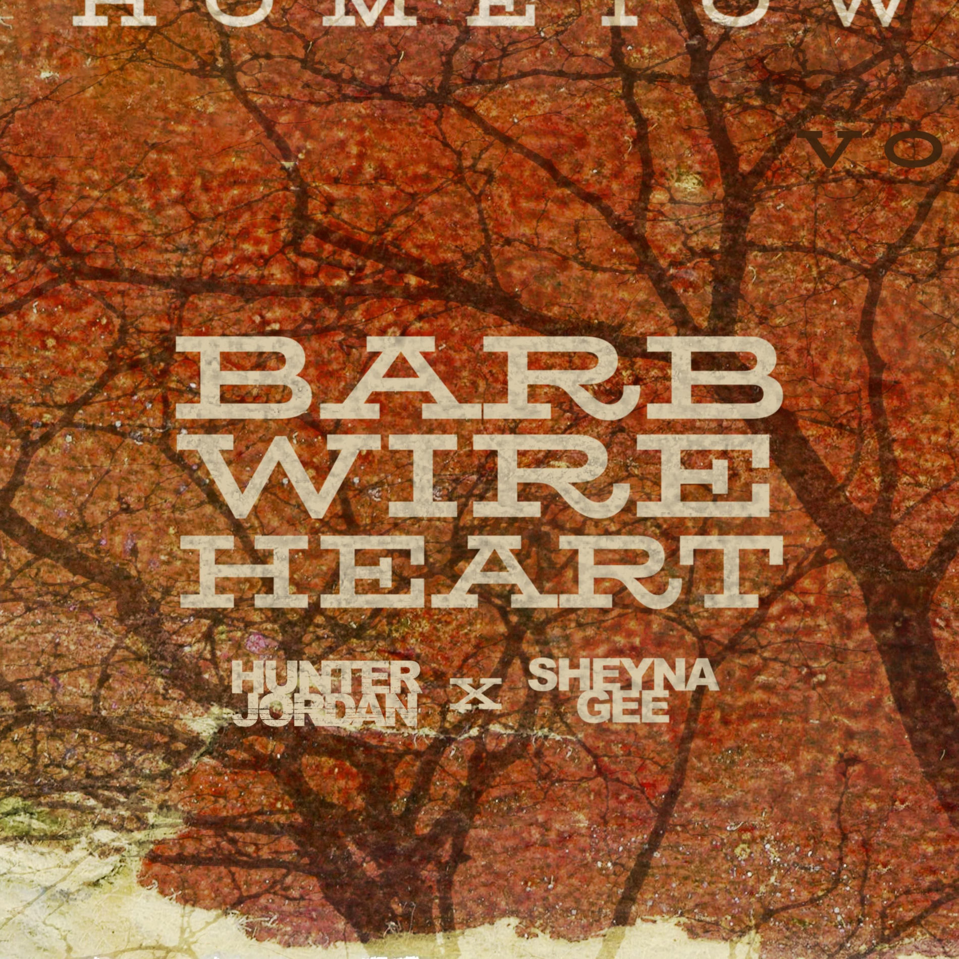 Album cover of Barbwire Heart (feat. Sheyna Gee)