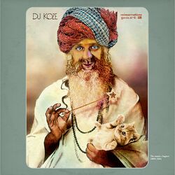 Cover of Reincarnations, Pt. 2 - The Remix Chapter 2009 - 2014