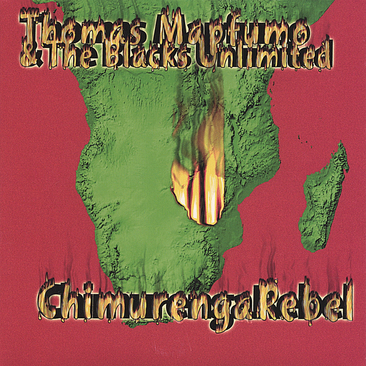Album cover of Chimurenga Rebel/Manhungetunge