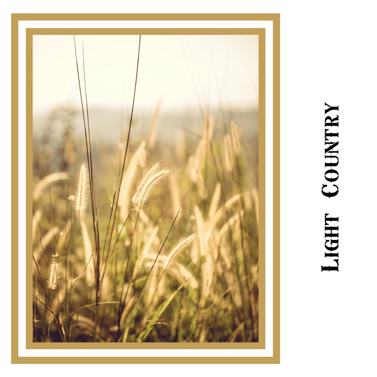 Album cover of Light Country